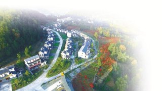 恩阳区明阳镇高店子社区
