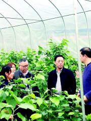 余江(右二)在基层调研。