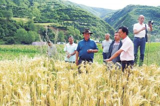 严扎甲(右五)在田间