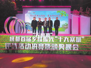 徐刚(中)代表丙灵村领奖