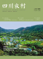 2020年第2期