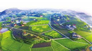 通过高标准农田建设打造的农旅结合的五粮液专用粮基地