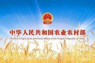 农业农村部2021年一号文件发布（全文）