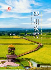 2021年第3期