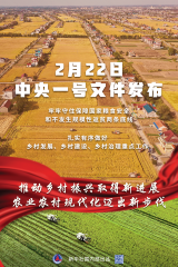 2022年中央一号文件全文