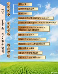 2022 年省委一号文件新闻发布会举行，解读重点内容