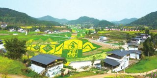 酒粮基地风光