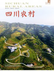 2022年第3期